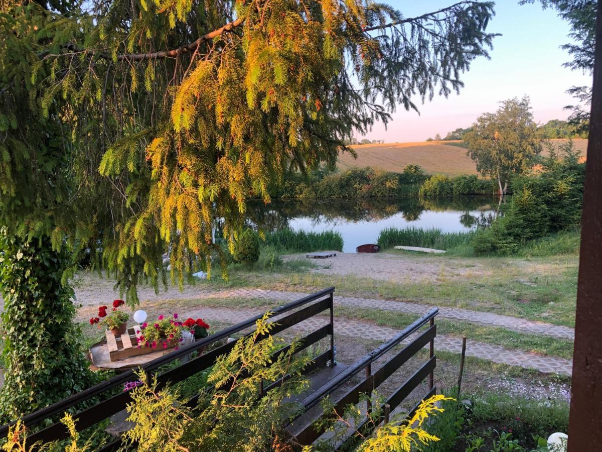 Kaszubski Loft Z Wlasnym Stawem Rybnym Żukowo Exteriör bild
